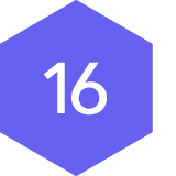 #16 icon