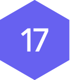 #17 icon