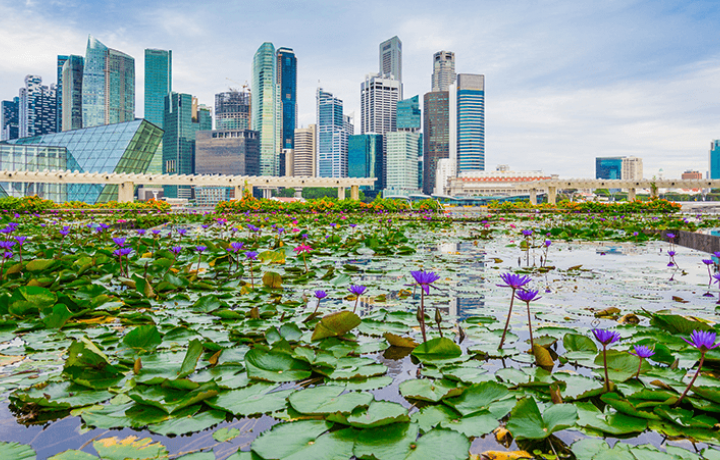 Sustainable cities
