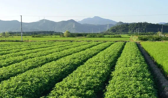 NUS student wins smart mapping competition - News Card 