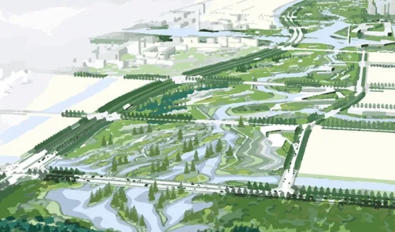 Thinking-Green-for-sustainability_card