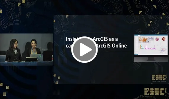 ArcGIS Insights: data exploration and visualisation card
