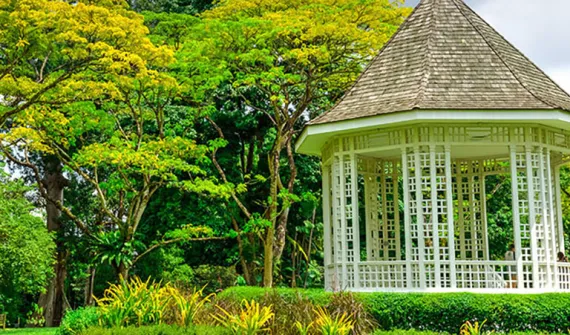 NParks and PUB receive (SAG) award card