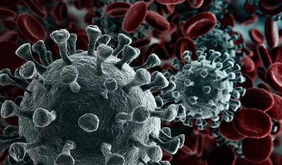 Coronavirus under microscope