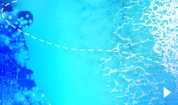 Geoprocessing changes web card