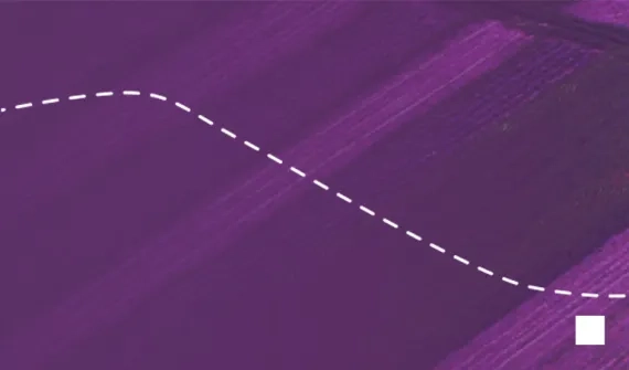Tips and best practices web card