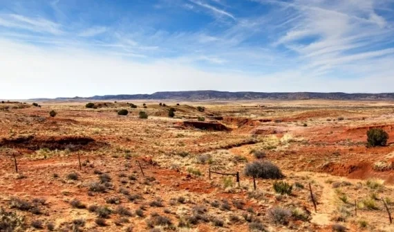 Dry land in New Mexico 
